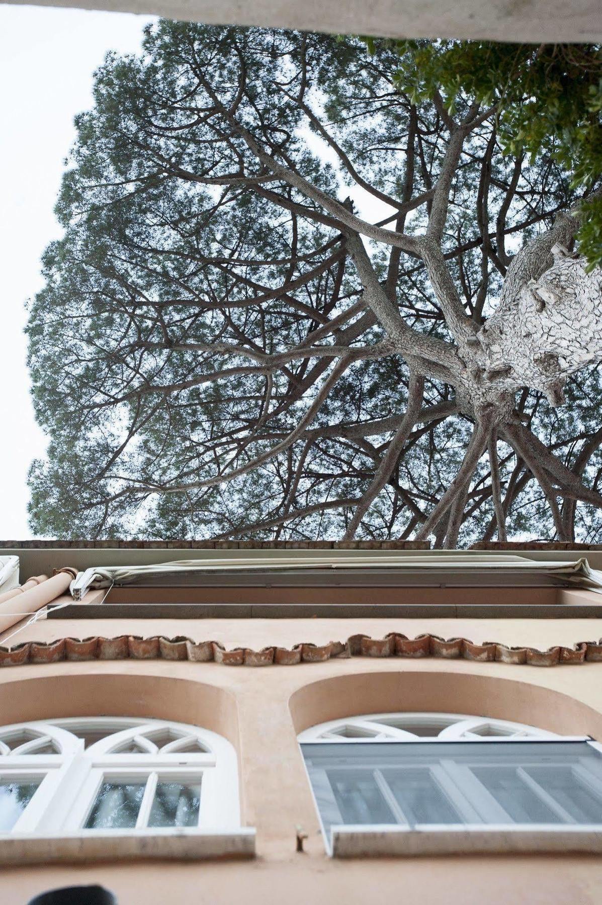 Appartamento La Casa di Carla Ravello Esterno foto